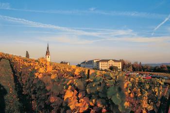 Hotel Schloss Reinhartshausen Eltville am Rhein ภายนอก รูปภาพ